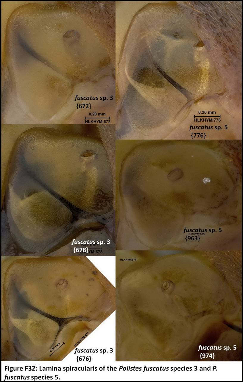 Figure32 replacement_resize