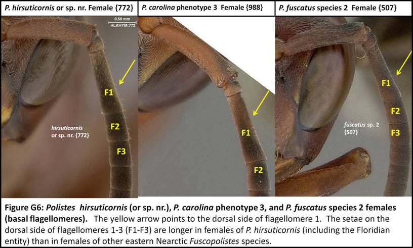 FigureG6_resize